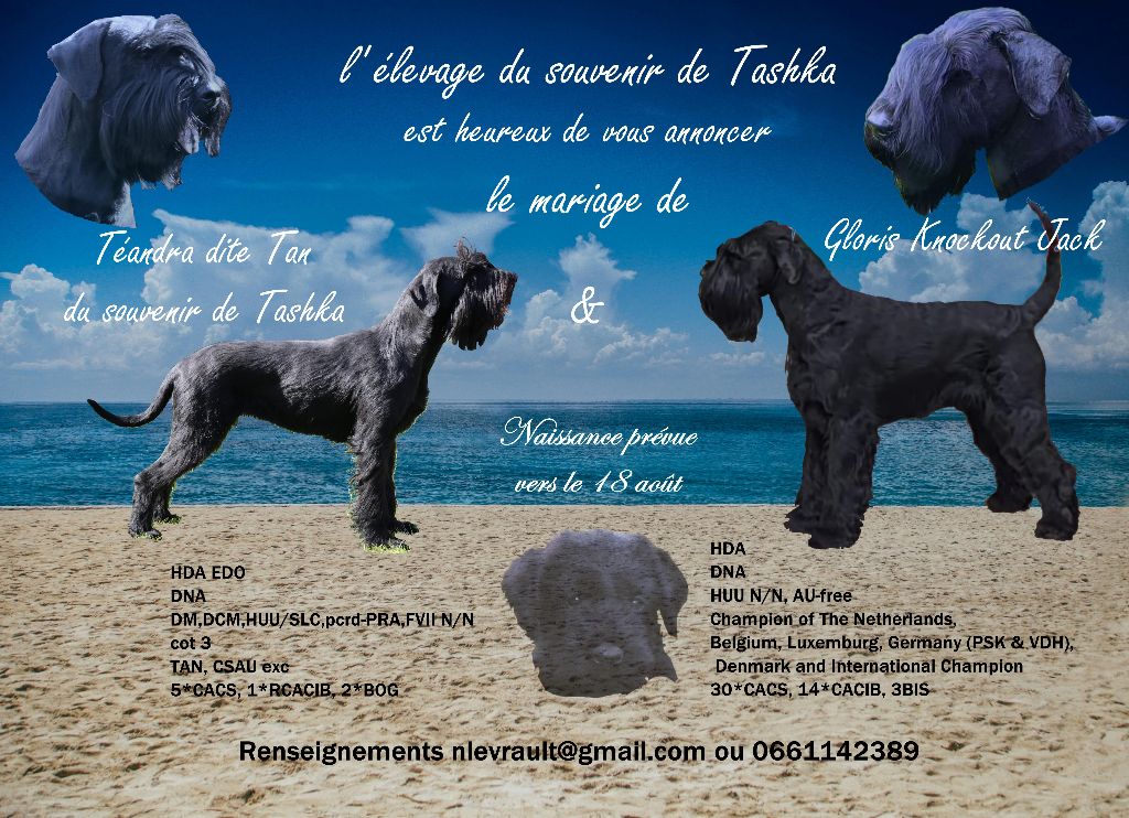 Tan va bientôt être maman !!